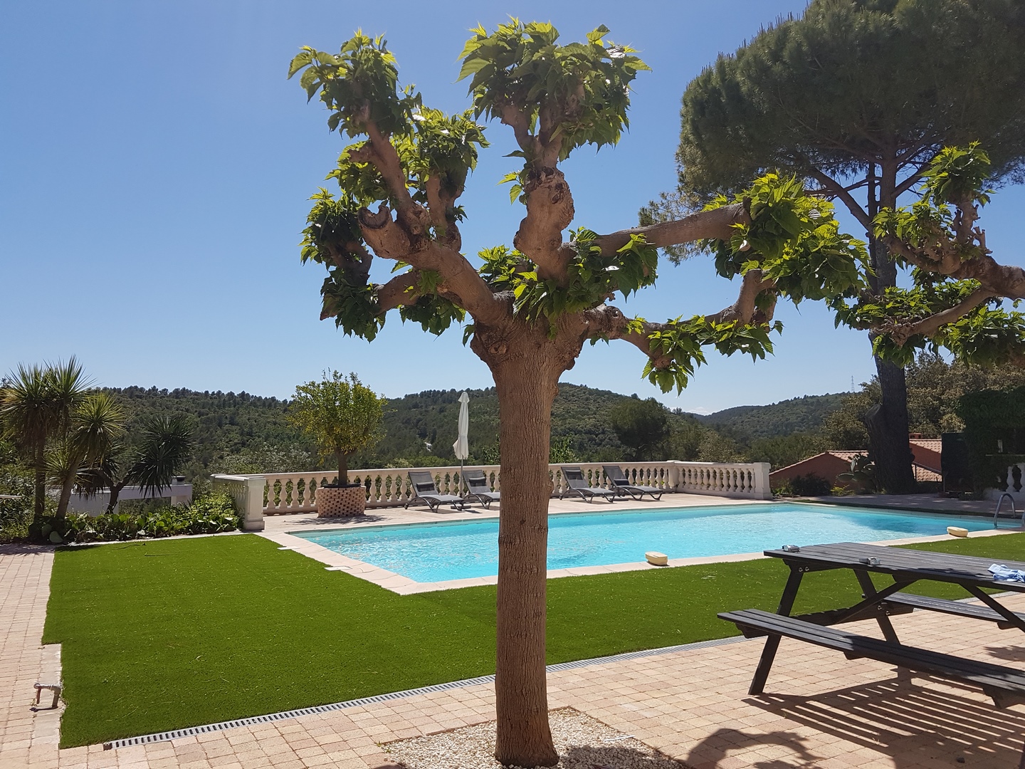 Gazon synthétique pour piscine à mémoire de forme prince à Valbonne, Alpes Maritimes, 06